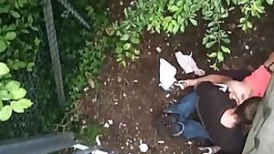 Espiando en los matorrales