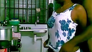 Indian Sex in kitchen