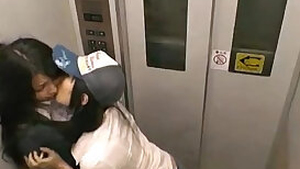 lesbians meet up in an elevator
