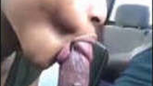 Intense Tamil girl gives a mind-blowing sucking session to her lucky boyfriend