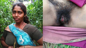 Tamil auntie's boob and blowjob videos for your pleasure