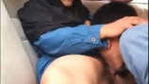 Fatty babe enjoys breast play in the car