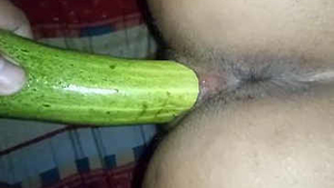 A husband pleasuring his Indian wife with a large cucumber and she enjoys it