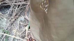 Desi couple's public display of affection in Tamil porn video