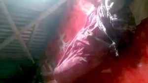 Village bhabi gets fucked by dad in spy video