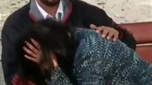 Desi Lovers Blowjob in Park
