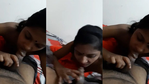 Dehati's wife gives a skilled blowjob in this video