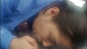 Neha bhabi enjoys sucking dick while in the car