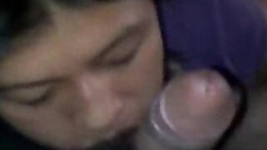 Assam Couple Girl BJ Movies.