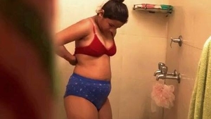 Hidden camera captures Desi's roommate's naughty bathroom antics