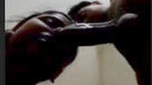 Desi bhabie gives a sloppy blowjob and gets fucked