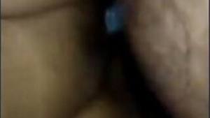 Desi wife sucking and fucking sex scene with daver